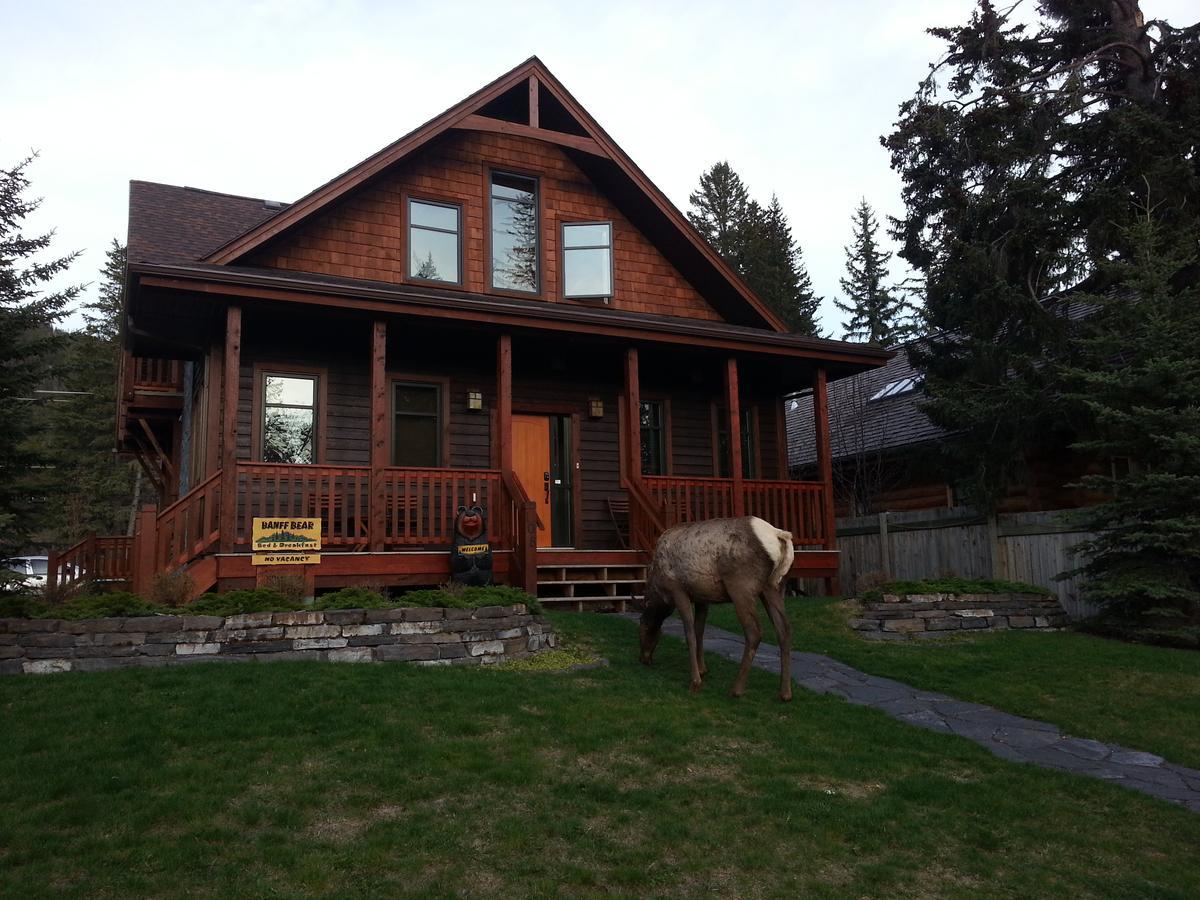 Banff Bear Bed&Breakfast Exterior foto